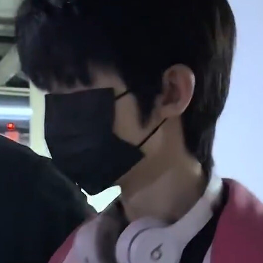 杨公又被杨博文解散了っ ̯ -。 