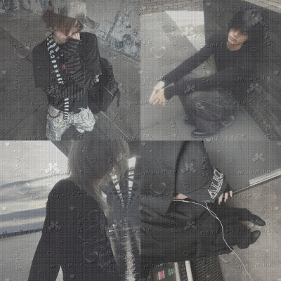 图Tick1back