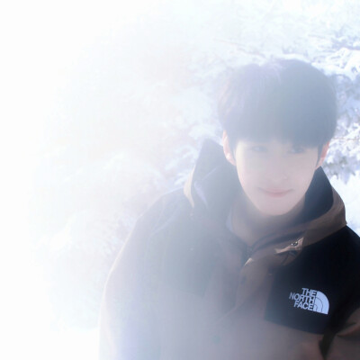  雪地小狗