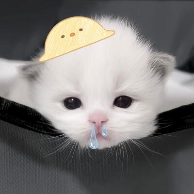 /