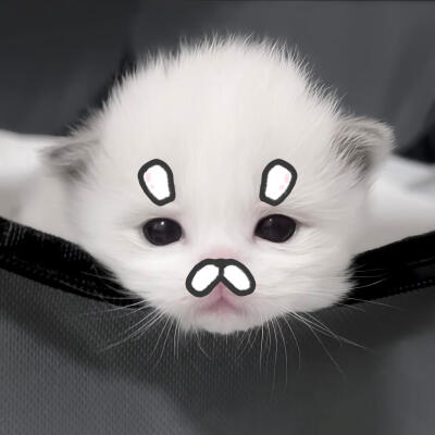 /