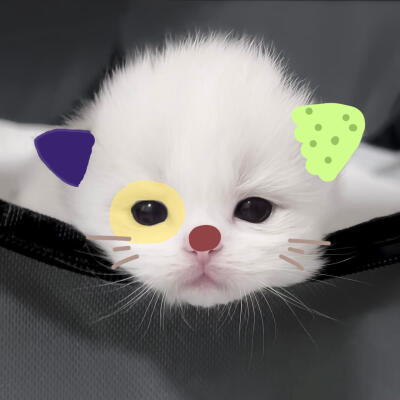 /