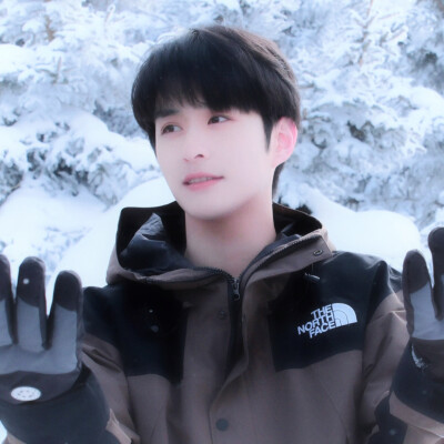 雪地小狗