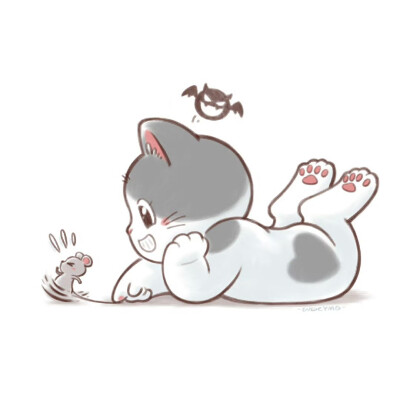 猫咪头像