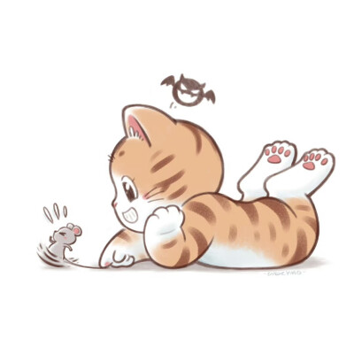 猫咪头像