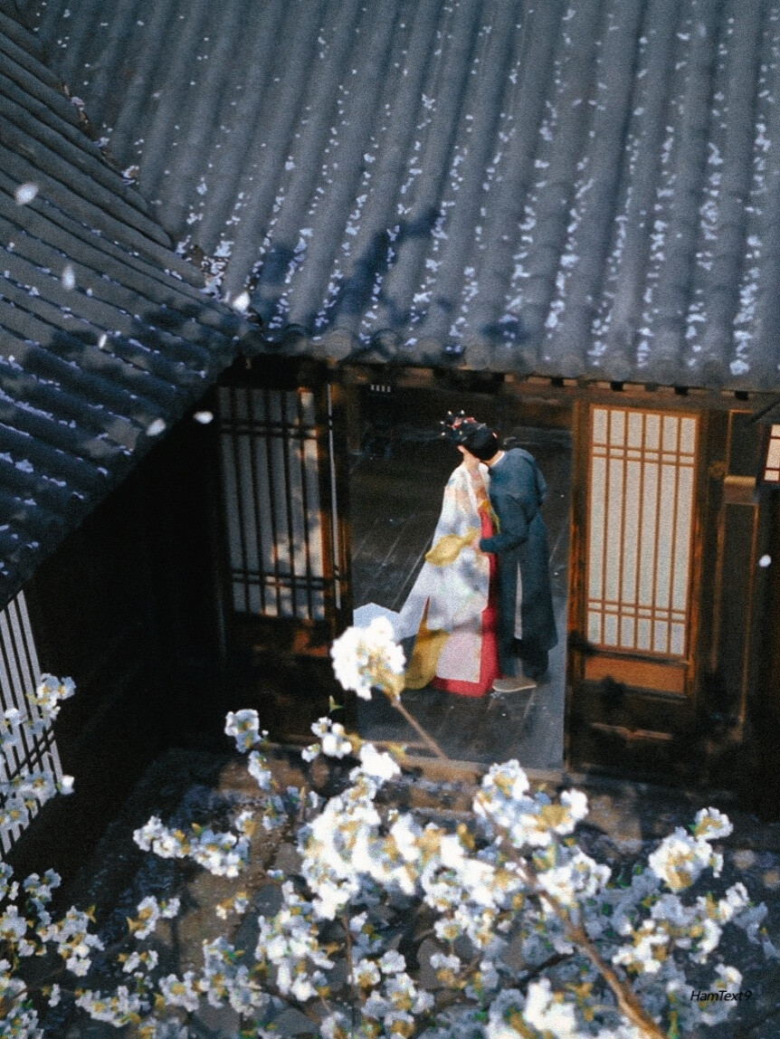 空镜