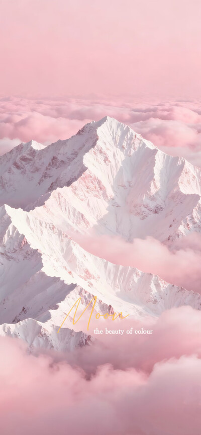 套图