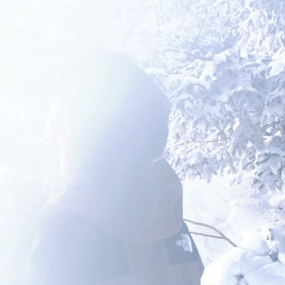  雪地小狗