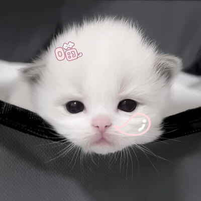 /