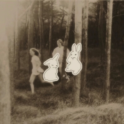 总是在图书馆相遇的学长