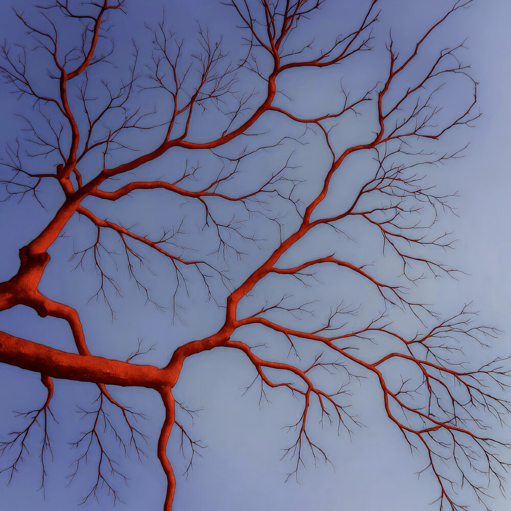 红旗漫卷，山河长安
周也
起司名札