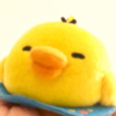 /