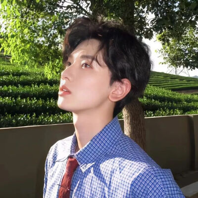 男头