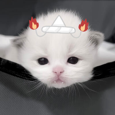 /