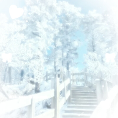 ｜谨以霜雪共白头 