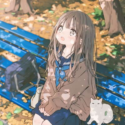 @ima_AI123
