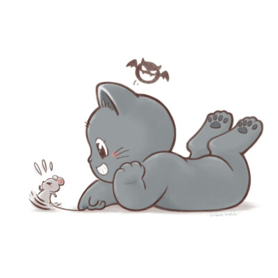 猫咪头像