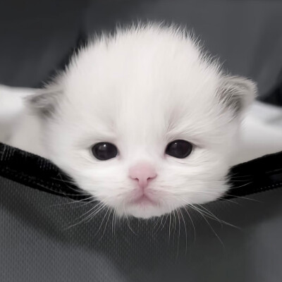/