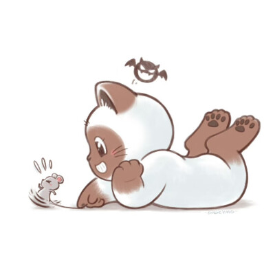 猫咪头像