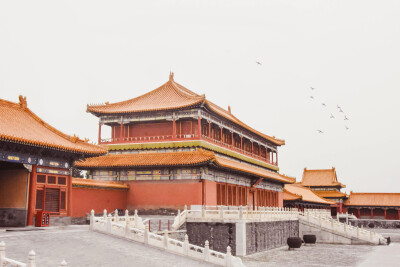 壁纸