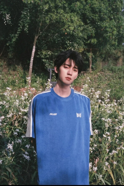 明星