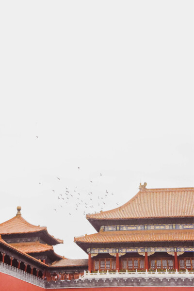壁纸