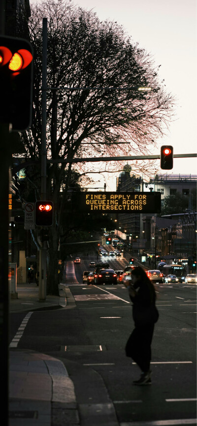 栖迟