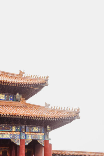 壁纸