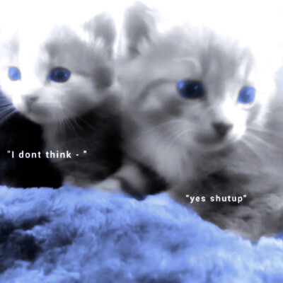 噜噜噜噜噜噜晓