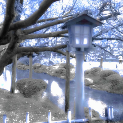 噜噜噜噜噜噜晓