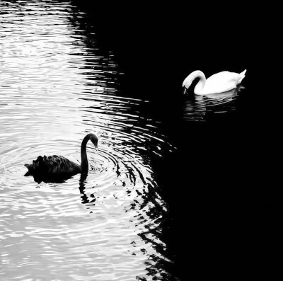 自截背景图 拿图点赞关注