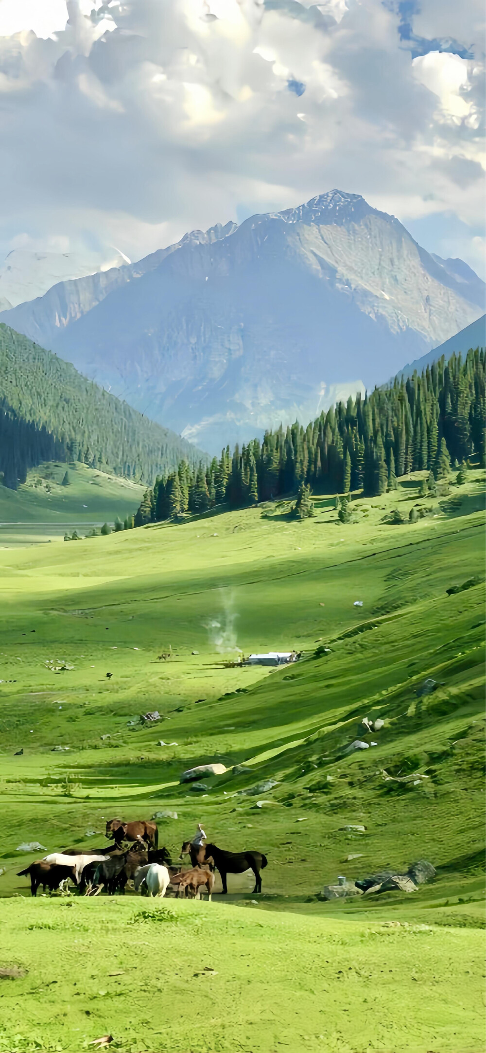 手机壁纸 iPhone壁纸 壁纸 加油壁纸 桌面壁纸 好运壁纸 全屏壁纸 玄学壁纸
来源微博 ｜搬运自用