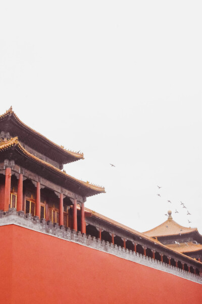 壁纸