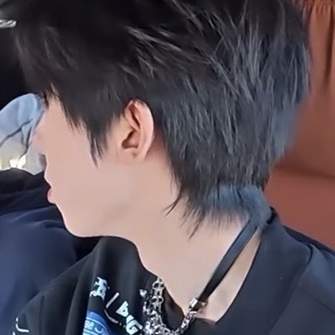 宝宝们