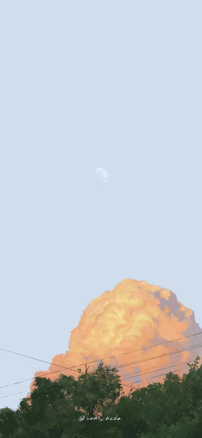 壁纸