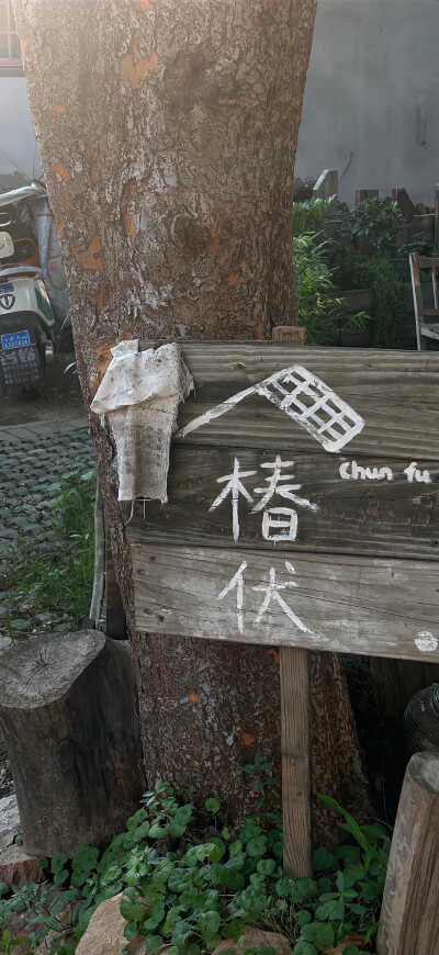 壁纸