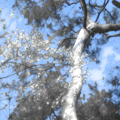 噜噜噜噜噜噜晓