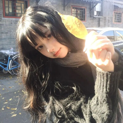 秋天银杏叶 氛围感女头