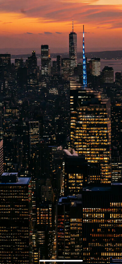 栖迟