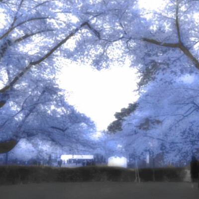 噜噜噜噜噜噜晓