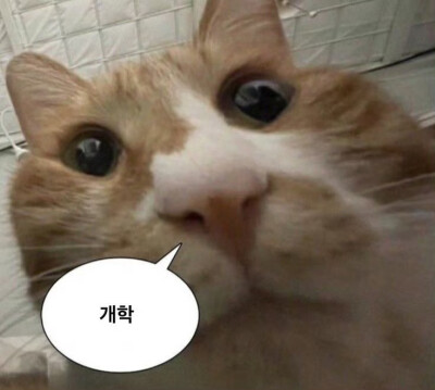 (^з^)