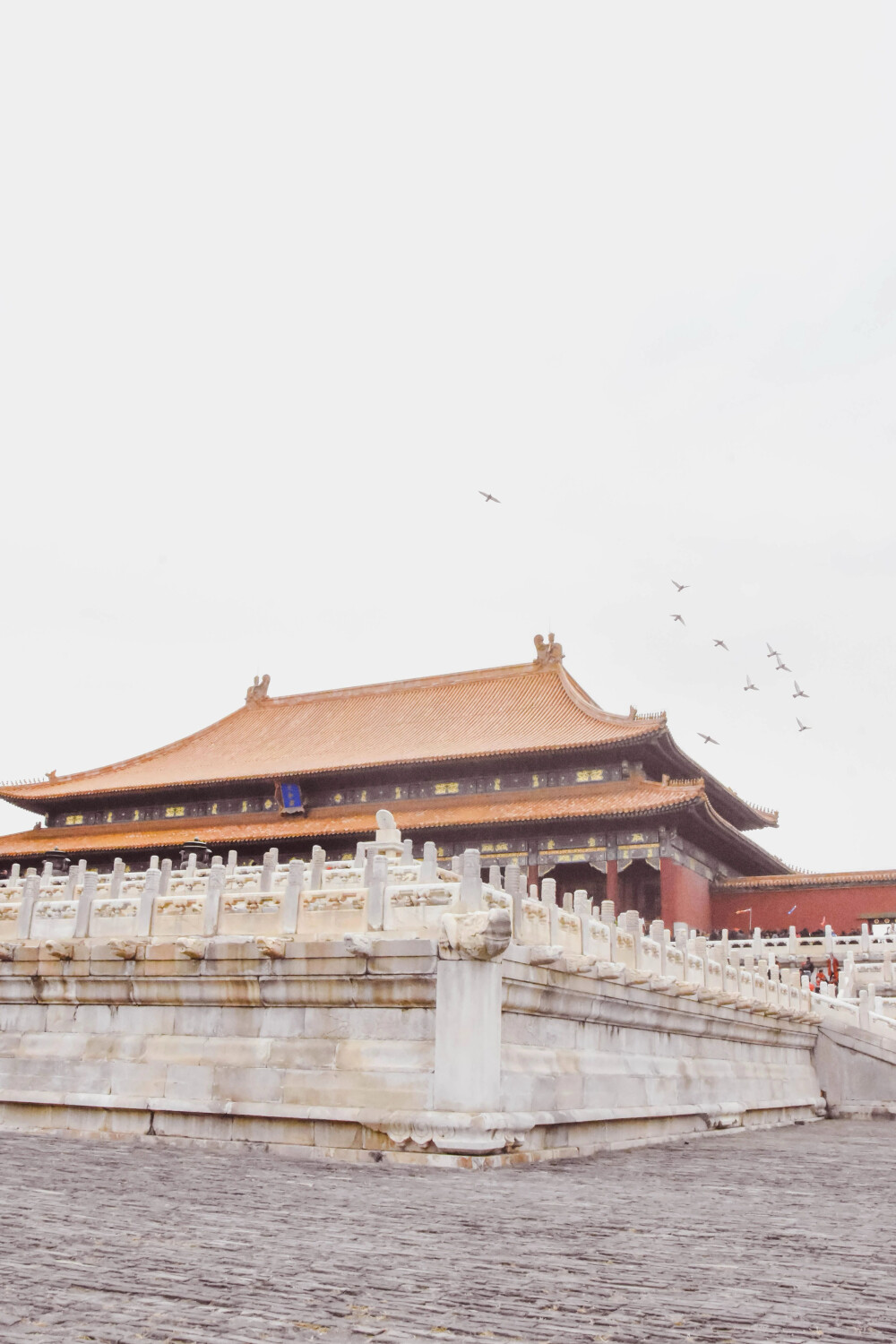 壁纸
