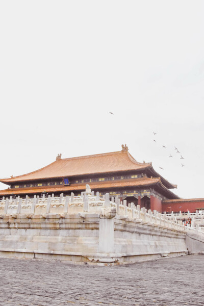 壁纸