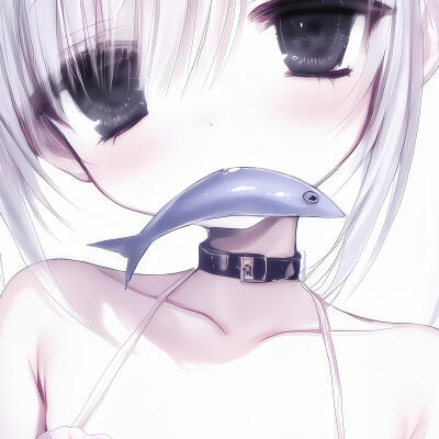 小红书：6677