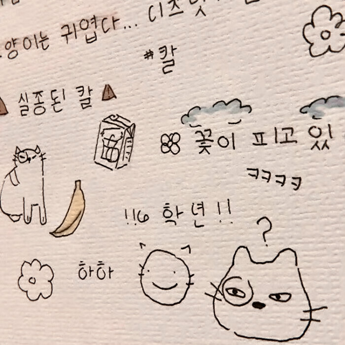 你好可爱 也会好幸福
赵露思
起司名札