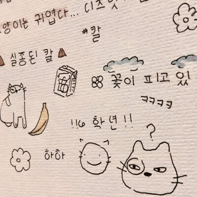 你好可爱 也会好幸福
赵露思
起司名札