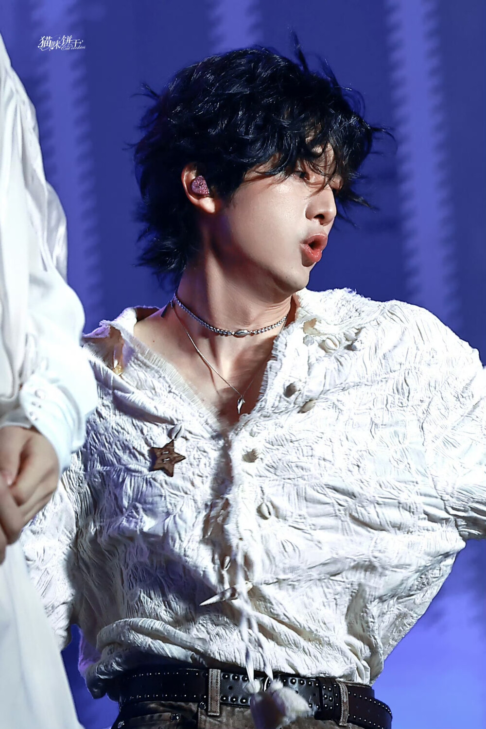 张新成 251002 宝鸡银杏音乐节