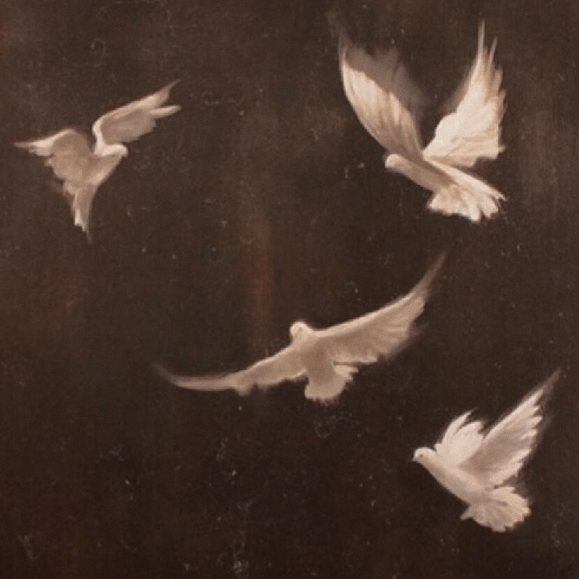 在记忆的废墟里，我独自翻找你的影子