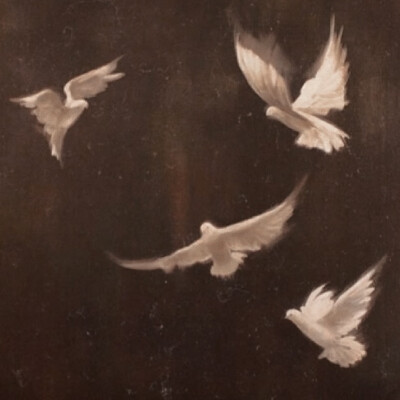 在记忆的废墟里，我独自翻找你的影子