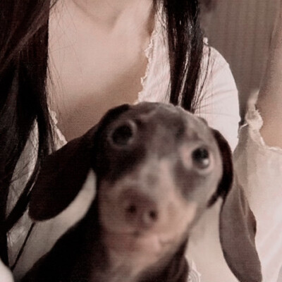 你好可爱 也会好幸福
赵露思
起司名札